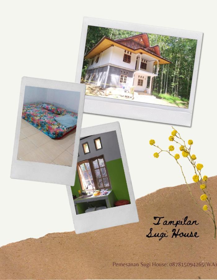 Sugi House Toraja - Villa Penginapan Sewa Harian Rantepao Luaran gambar