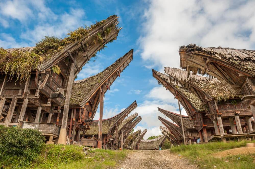 Sugi House Toraja - Villa Penginapan Sewa Harian Rantepao Luaran gambar